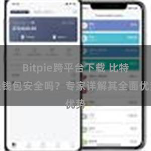 Bitpie跨平台下载 比特派钱包安全吗？专家详解其全面优势