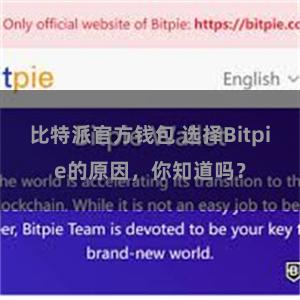 比特派官方钱包 选择Bitpie的原因，你知道吗？