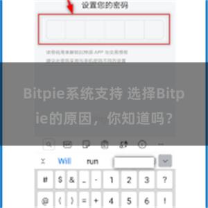 Bitpie系统支持 选择Bitpie的原因，你知道吗？