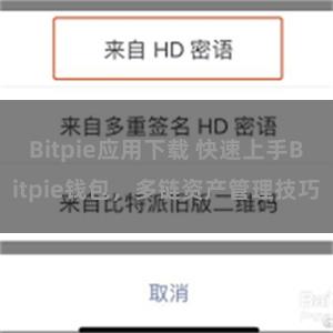 Bitpie应用下载 快速上手Bitpie钱包，多链资产管理技巧