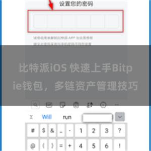 比特派iOS 快速上手Bitpie钱包，多链资产管理技巧