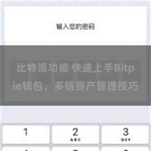 比特派功能 快速上手Bitpie钱包，多链资产管理技巧