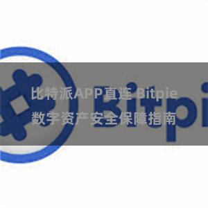 比特派APP直连 Bitpie数字资产安全保障指南