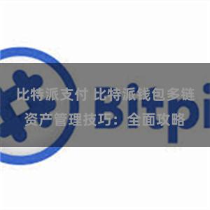 比特派支付 比特派钱包多链资产管理技巧：全面攻略