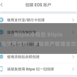 Bitpie冷钱包 Bitpie钱包使用技巧：多链资产管理全攻略