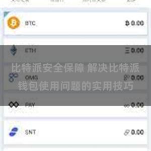 比特派安全保障 解决比特派钱包使用问题的实用技巧