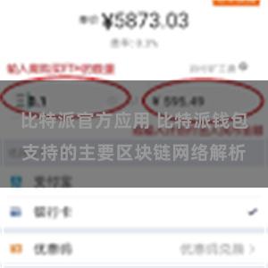 比特派官方应用 比特派钱包支持的主要区块链网络解析