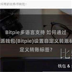 Bitpie多语言支持 如何通过比特派钱包(Bitpie)设置自定义转账标签？