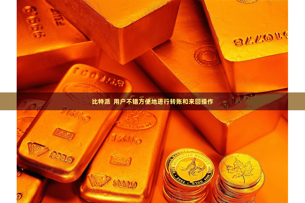 比特派  用户不错方便地进行转账和来回操作