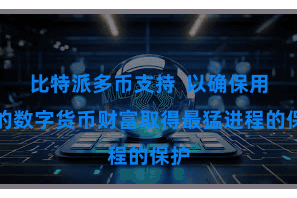 比特派多币支持  以确保用户的数字货币财富取得最猛进程的保护