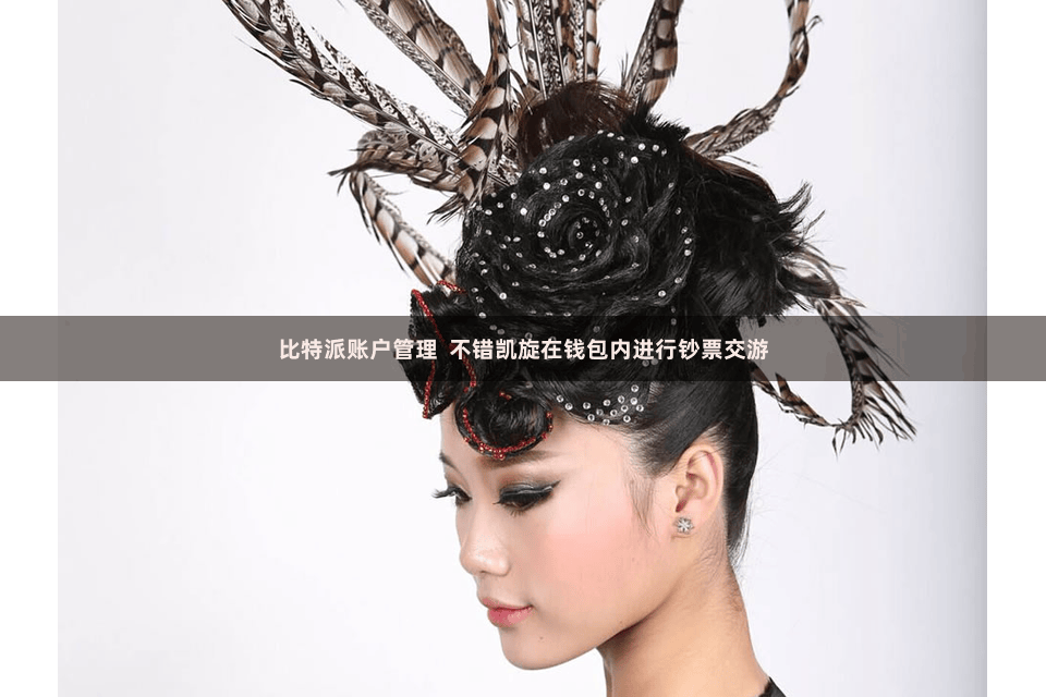 比特派账户管理  不错凯旋在钱包内进行钞票交游