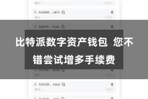 比特派数字资产钱包  您不错尝试增多手续费