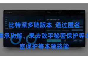比特派多链版本  通过匿名发送和秉承功能、来去敌手秘密保护等本领技能