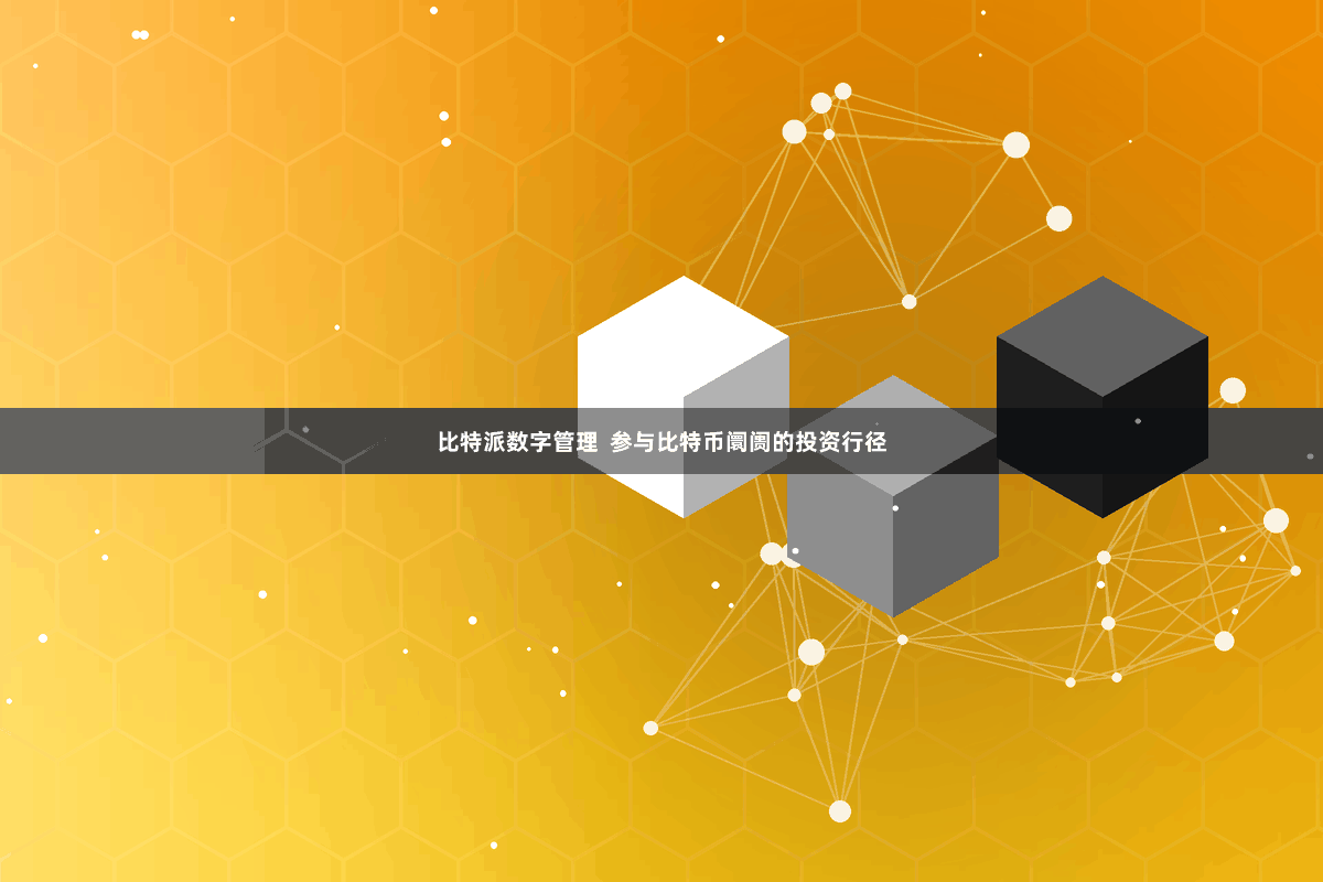 比特派数字管理  参与比特币阛阓的投资行径